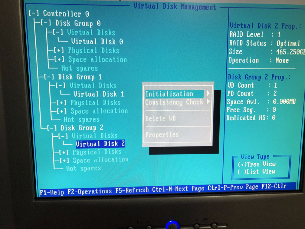 Initialization menu for the new virtual disk